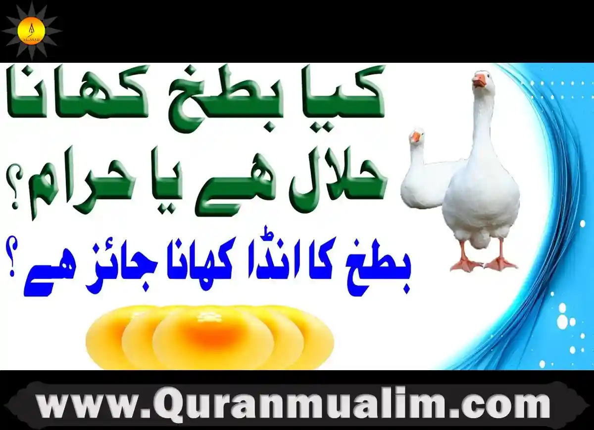 Is Duck Halal Or Haram Can Muslims Eat It Quran Mualim