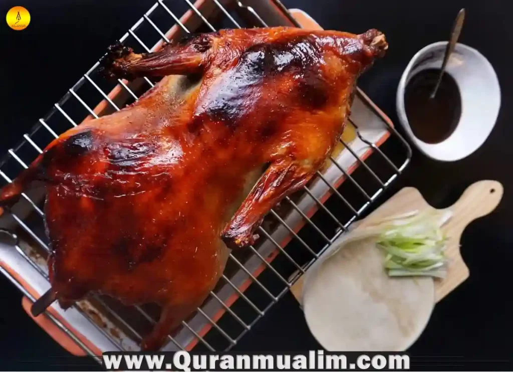 is duck halal, halal duck, duck donuts halal, halal duck near me, halal duck costco, is duck egg halal, is duck fat halal, are duck eggs halal, halal peking duck, duck fat halal ,duck is halal ,duck is halal or haram in islam