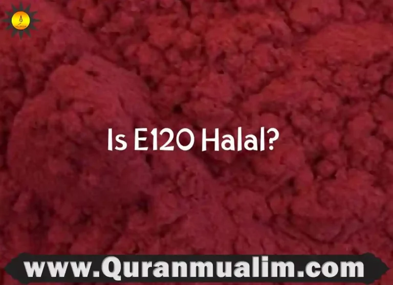 e120 halal, carmine e120 halal,e120 halal or haram, is e120 halal, carmine e120 halal or haram,e120 food list,e120 food additive ,ingredient e120,what is e120 in food, what is e120 in food,e120 halal