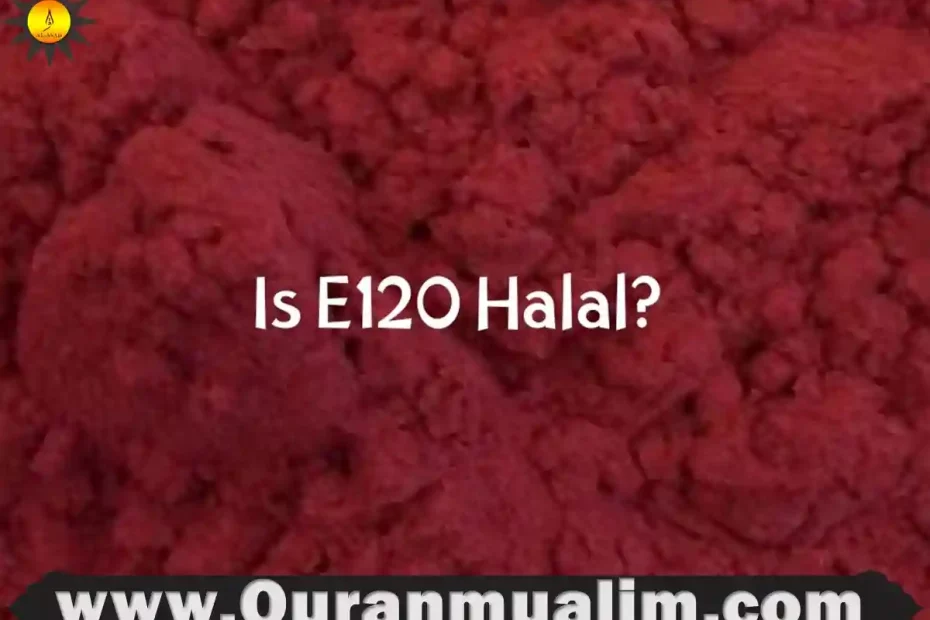 e120 halal, carmine e120 halal,e120 halal or haram, is e120 halal, carmine e120 halal or haram,e120 food list,e120 food additive ,ingredient e120,what is e120 in food, what is e120 in food,e120 halal