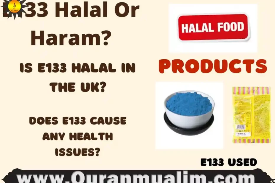 e133 halal,e133 halal or haram, is e133 halal
