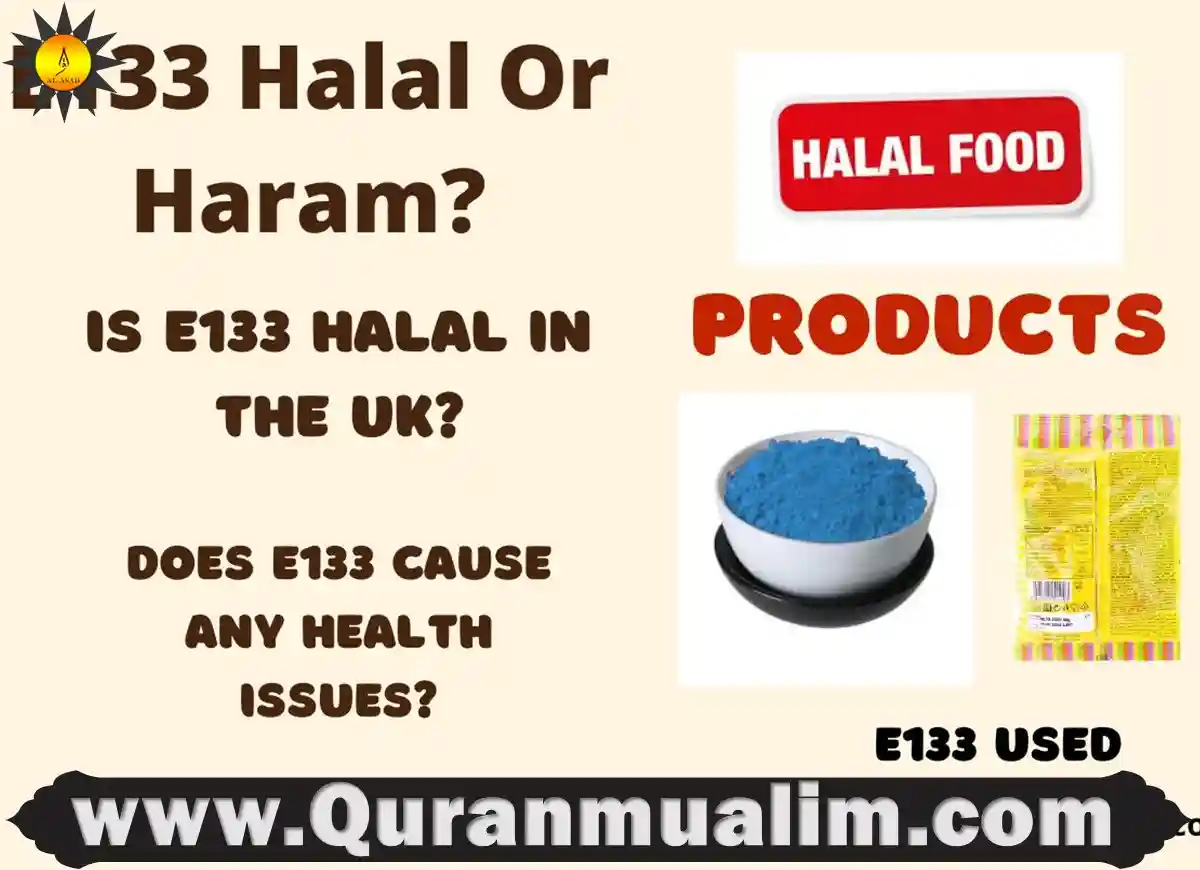 e133 halal,e133 halal or haram, is e133 halal