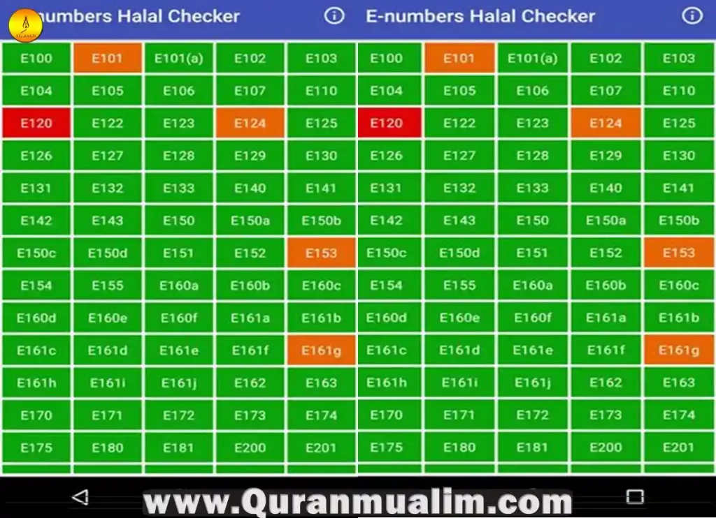 e133 halal,e133 halal or haram, is e133 halal