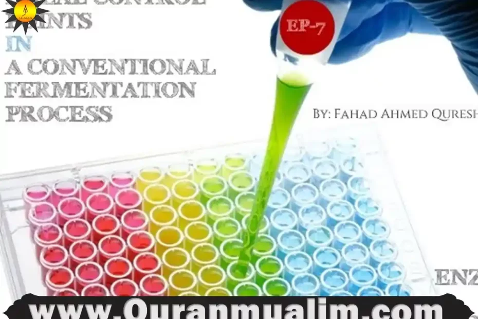enzymes is halal, is enzymes halal, enzymes is halal or haram, is enzymes halal or haram, is microbial enzyme halal, is microbial enzyme halal, is microbial enzymes halal,is animal enzymes halal