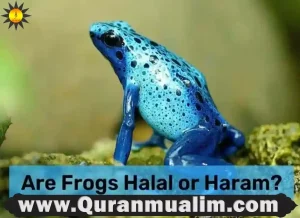 is frog halal, are frogs halal, is frogs halal, are frog legs halal, are frogs halal to eat