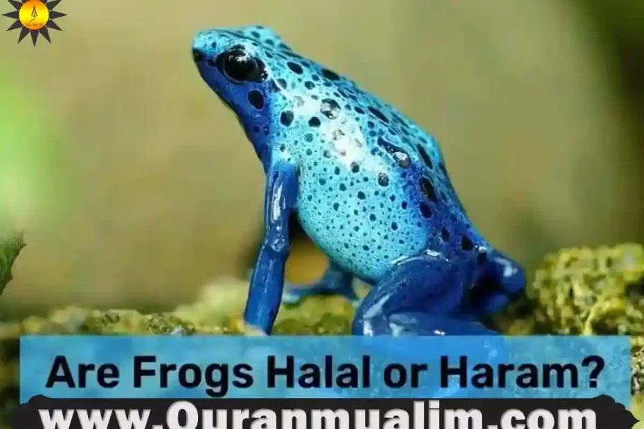 is frog halal, are frogs halal, is frogs halal, are frog legs halal, are frogs halal to eat