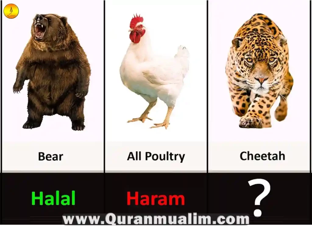 is frog halal, are frogs halal, is frogs halal, are frog legs halal, are frogs halal to eat