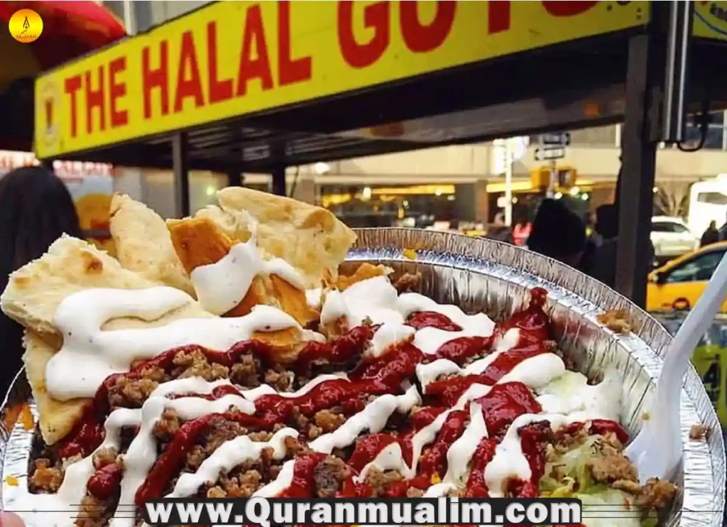 is halal food healthy, halal food is healthy, is halal cart food healthy ,is halal food healthy reddit, is halal food truck healthy, how healthy is halal cart food