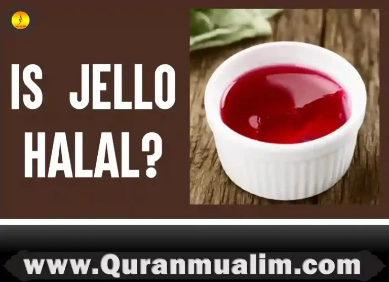 is jello halal, is jello pudding halal, is snack pack jello halal, is jell-o brand halal, is jello gelatin halal, does gelatin have pork, is gelatin halal, does jello have pork in it, is jello halal, does jello have pork, is jello made with pork