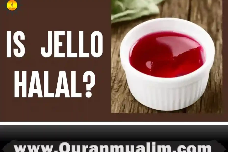 Is Jello Halal? You Need To Know Quran Mualim