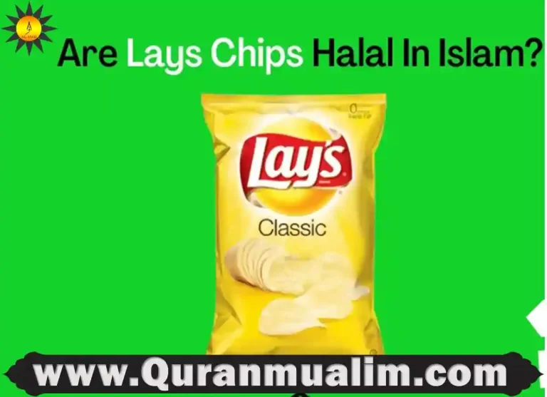 is lay's halal,is lay's flamin hot halal, is lay's halal in usa,halal chips, customize lays chips, ingredients in lays, is lays halal ,lays customize box of chips,lays chips india,what chips are halal,are lays chips halal
