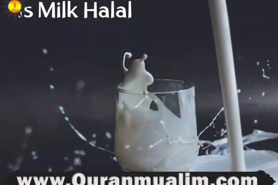 Is Milk Halal? Quick Facts Quran Mualim