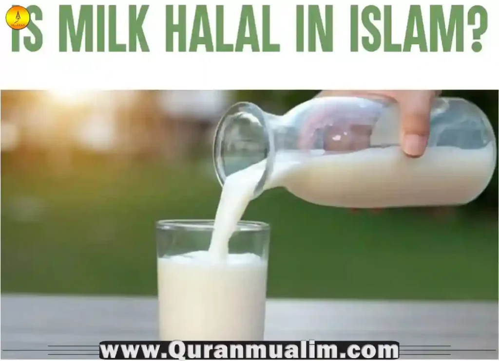 is milk halal,is lindt milk chocolate halal, is whey from milk halal, is milk duds halal, is almond milk halal, is binggrae banana milk halal  ,is breast milk halal ,is breast milk halal for husband, is cadbury dairy milk chocolate halal