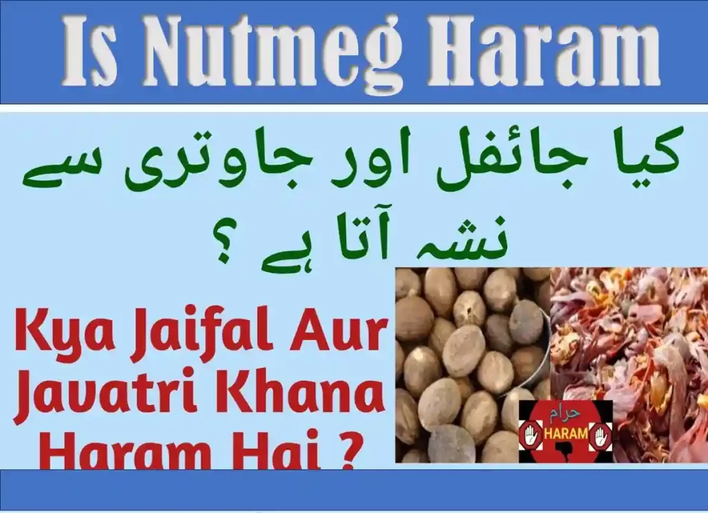 is nutmeg haram, nutmeg haram, is nutmeg halal or haram, is nutmeg haram hanafi, nutmeg halal or haram, nutmeg is haram, why is nutmeg haram  ,why nutmeg is haram in islam 