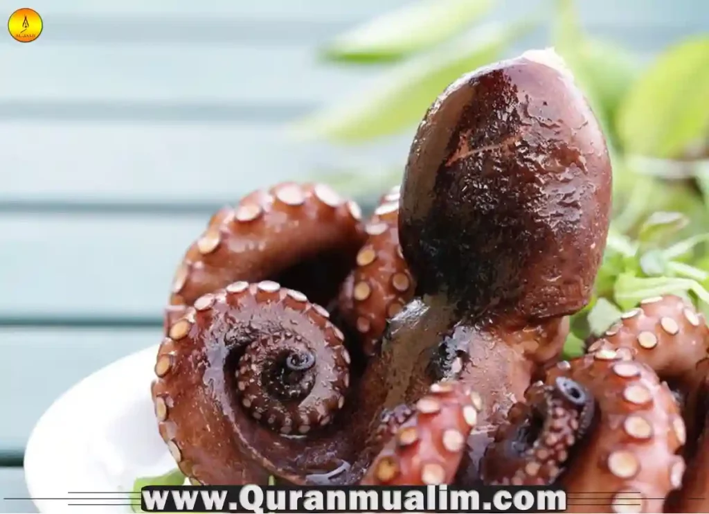 is octopus halal, octopus is halal, is octopus halal or haram, is eating octopus halal, is octopus halal Hanafi ,can you eat octopus ,foods that muslim cannot eat, what animals are haram to eat, is octopus considered shellfish