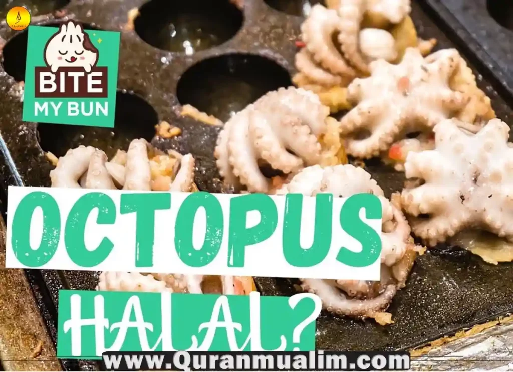 is octopus halal, octopus is halal, is octopus halal or haram, is eating octopus halal, is octopus halal Hanafi ,can you eat octopus ,foods that muslim cannot eat, what animals are haram to eat, is octopus considered shellfish