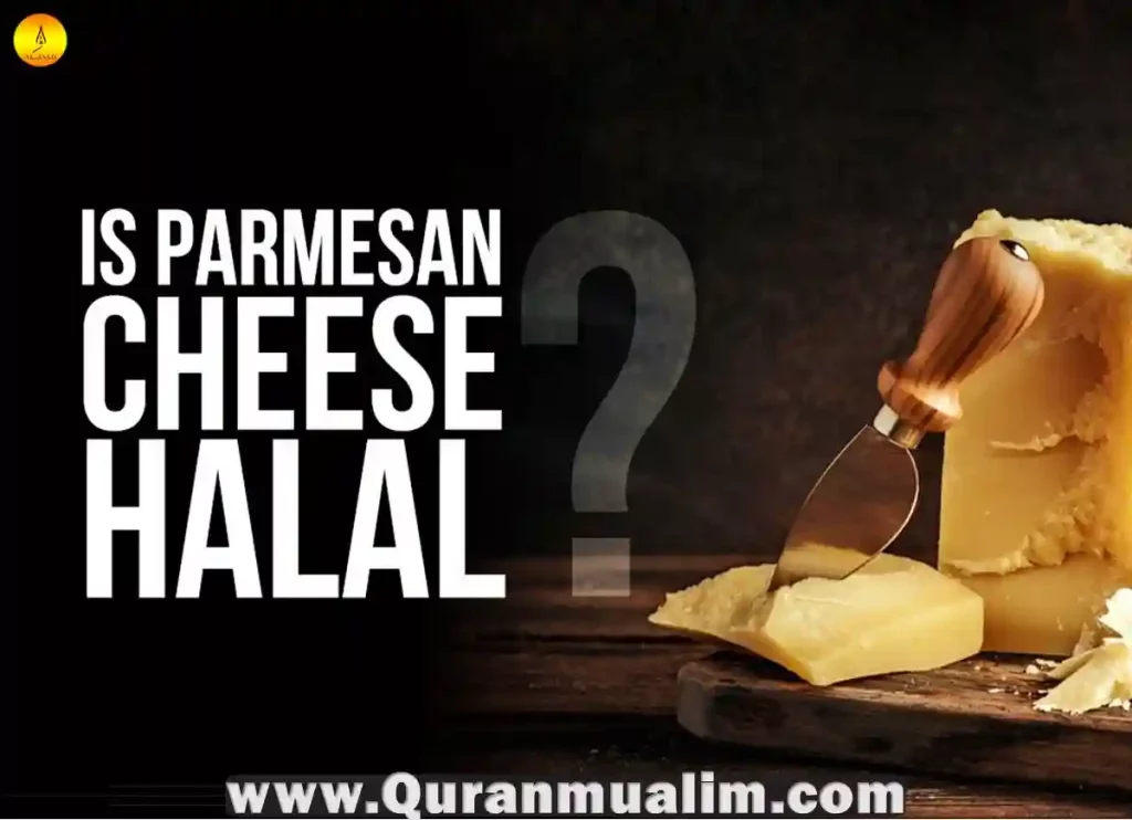 is parmesan cheese halal, parmesan cheese is it halal, is kraft parmesan cheese halal, is parmesan cheese halal hanafi, is parmesan cheese halal or haram, how is parmesan cheese made ,how is parmesan cheese made, parmesan cheese made, is parmesan cheese halal