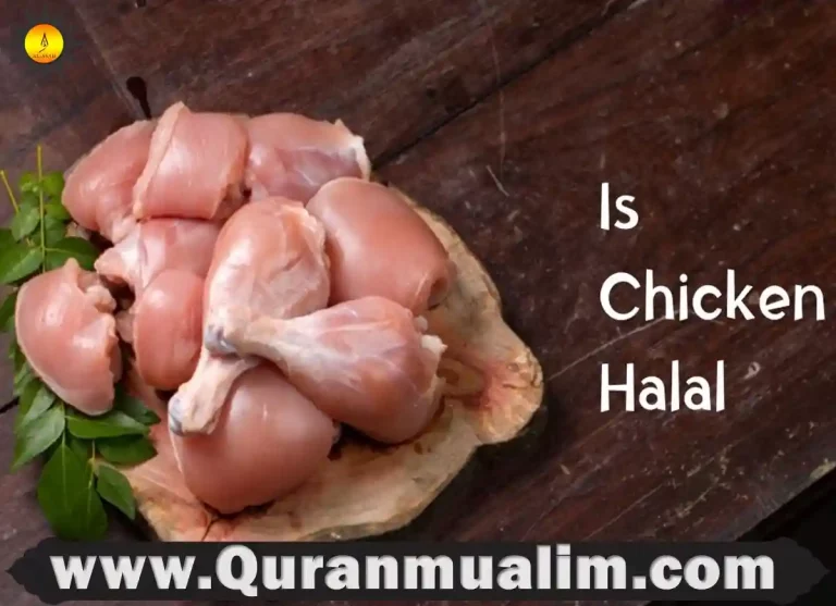 is perdue chicken halal, is all perdue chicken halal ,is perdue harvestland chicken halal, which chicken brand is halal, is perdue chicken kosher, is perdue chicken kosher, is perdue harvestland chicken halal,perdue harvestland chicken halal