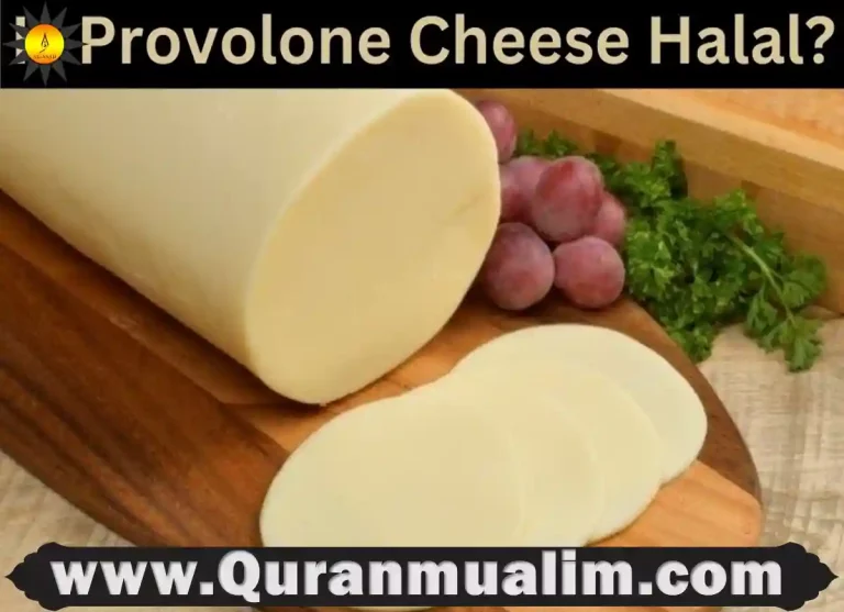 is provolone cheese halal, provolone cheese halal, is provolone halal, is provolone cheese vegetarian, is provolone vegetarian, provolone cheese vegetarian