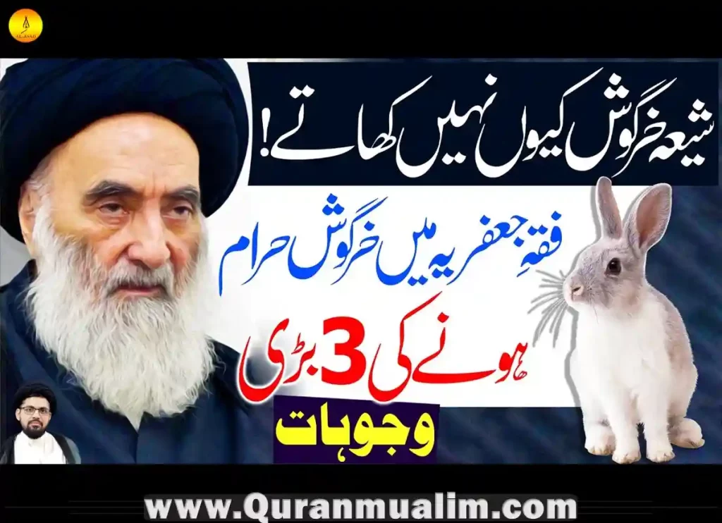 Is Rabbit Meat Halal In Islam Quran Mualim
