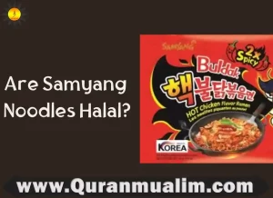 is buldak ramen halal, is maruchan ramen halal, is ramen halal, is shin ramen halal, is top ramen halal, noodles halal, halal ramen noodles, is top ramen halal, is chicken cup noodles halal, are ramen noodles halal