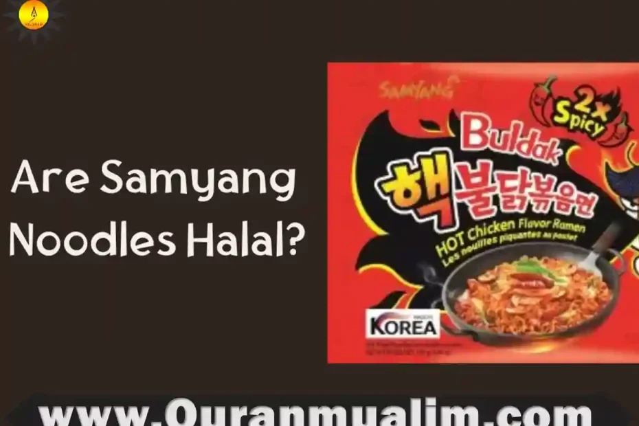 is buldak ramen halal, is maruchan ramen halal, is ramen halal, is shin ramen halal, is top ramen halal, noodles halal, halal ramen noodles, is top ramen halal, is chicken cup noodles halal, are ramen noodles halal