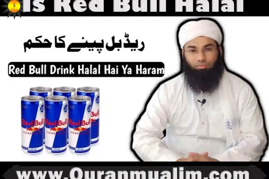is red bull halal, red bull is halal, red bull energy drink is halal or haram, is red bull drink halal ,is red bull energy drink halal, is red bull haram in islam, which energy drinks are halal, bear halal or haram, what is red bull made of ingredients