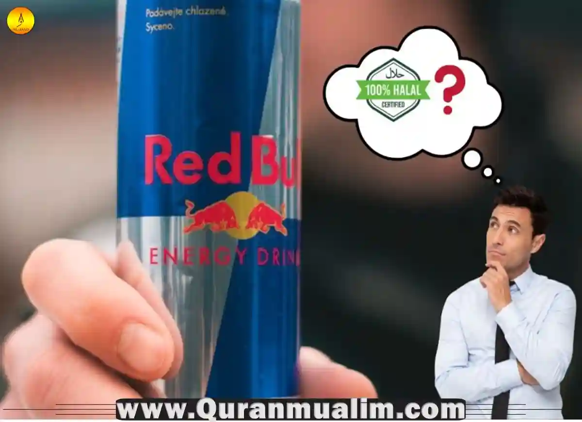 Is Red Bull Halal? Facts 2023 Quran Mualim