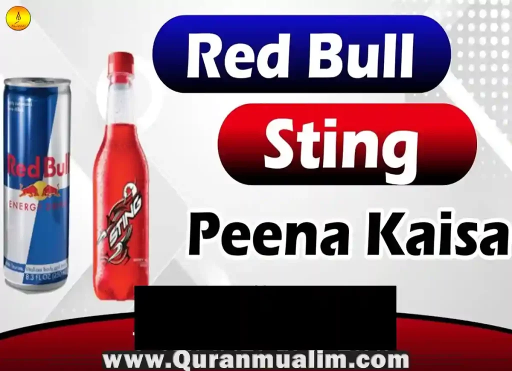 is red bull haram, red bull is haram, is drinking red bull haram, is red bull haram in islam, red bull energy drink is halal or haram, is red bull haram or halal, red bull is haram or halal 