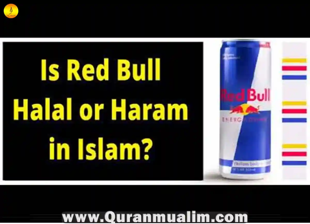 Is Red Bull Haram? Quick Facts 2023 Quran Mualim