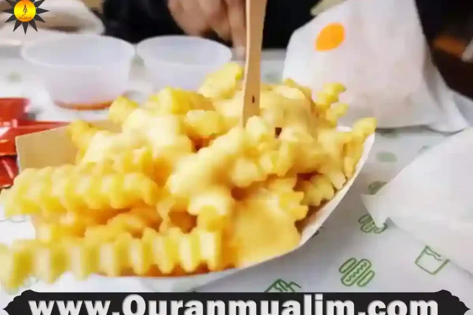 is shake shack halal, shake shack halal, halal shake shack, is shake shack halal in usa,is shake shack halal usa, shake shack chicken halal , shake shack is halal ,halal shake shack london ,halal shake shack near me ,is shake shack chicken halal