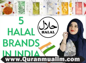 halal ice cream brands, halal ice cream brands usa,halal ice cream brands in usa, halal ice cream brands in usa,halal ice cream brands usa, is ice cream halal in usa,halal ice cream usa