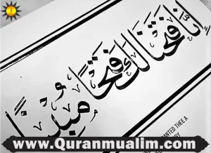 important surahs of qura,7 important surahs, the importance of surah fatiha, what are the most important surahs ,why is surah yaseen important, what are the most important surahs, why is surah yaseen important