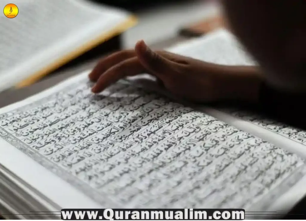 important surahs of qura,7 important surahs, the importance of surah fatiha, what are the most important surahs ,why is surah yaseen important, what are the most important surahs, why is surah yaseen important