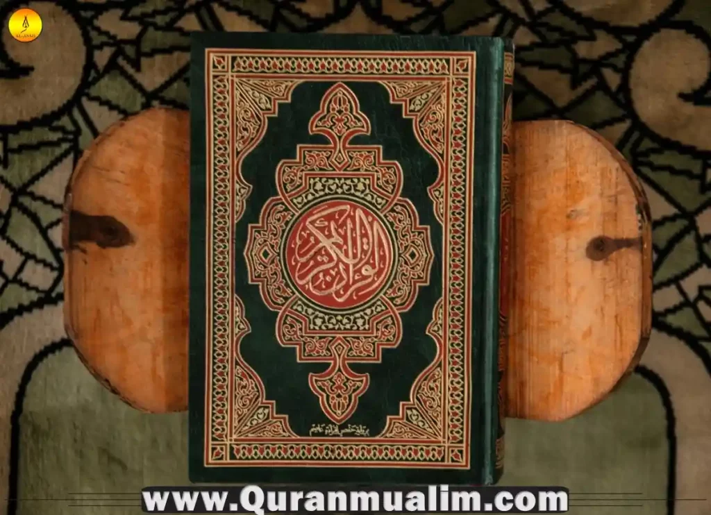 important surahs of qura,7 important surahs, the importance of surah fatiha, what are the most important surahs ,why is surah yaseen important, what are the most important surahs, why is surah yaseen important