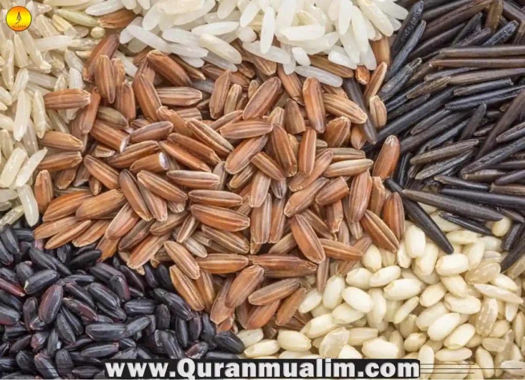 basmati, is basmati rice healthy, what is basmati rice, basmati rice healthier, basmati rice nutrition, is basmati rice healthy, what is basmati rice, how much protein in rice, can diabetics eat rice, is rice bad for diabetics