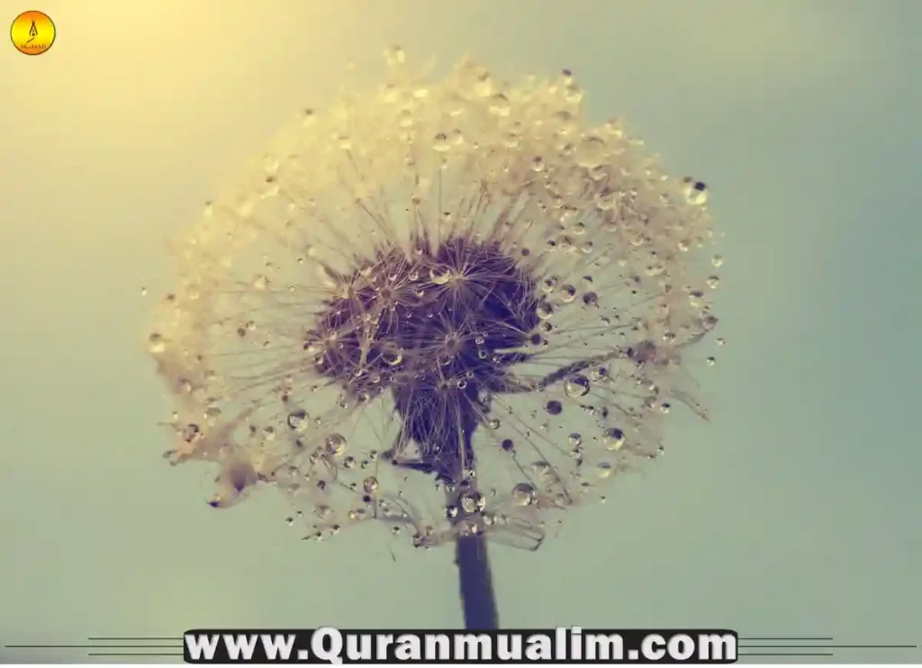 dream interpretation in islam book, dream interpretation islamic book, dreams interpretation in islam, dreams interpretation in islam ,islam about dreams, islam about dreams, dream interpretation islam, islamic dream