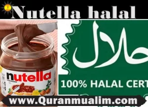 halal nutella, is nutella halal, nutella halal, is nutella halal or haram, is nutella halal in usa, is nutella halal,are nutella halal, is nutella b ready halal