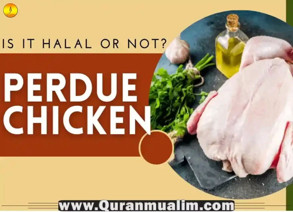 is perdue chicken halal, perdue chicken halal, is all perdue chicken halal, is perdue harvestland chicken halal, perdue harvestland chicken halal
