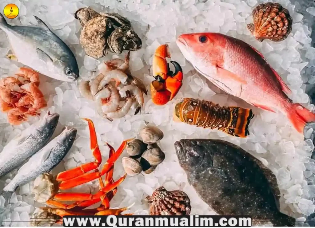 is shellfish halal, is shellfish halal or haram, shellfish is halal, muslim dietary restrictions, halal shellfish, do muslims eat shellfish ,is salmon halal, muslim food restrictions, what can muslims not eat, what can muslims not eat