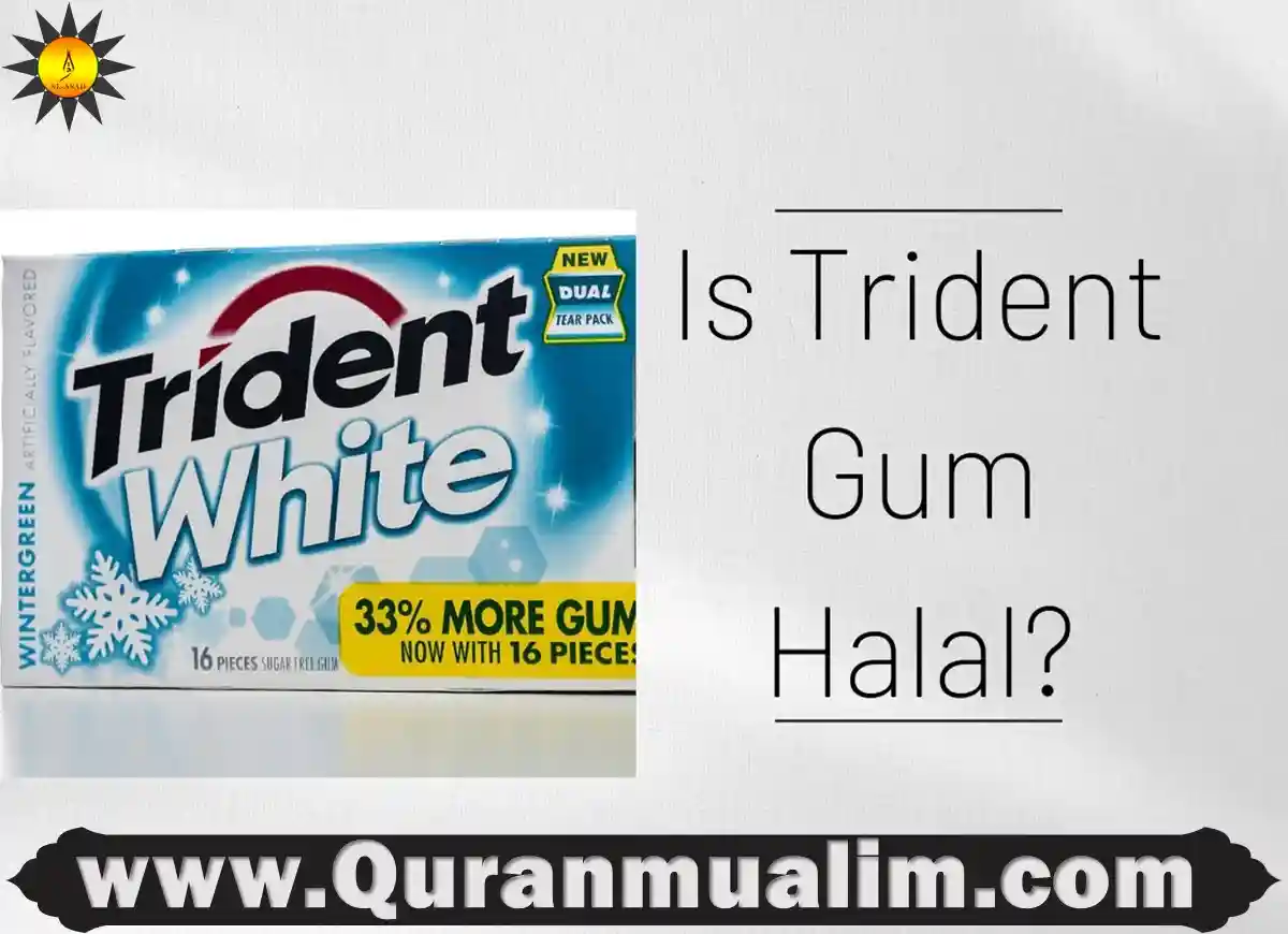 is trident gum halal, is trident gum halal in usa, is trident sour patch gum halal, is trident tropical twist gum halal, is trident bubble gum halal, orange trident gum, is trident gum halal, ingredients of trident gum, is extra gum halal