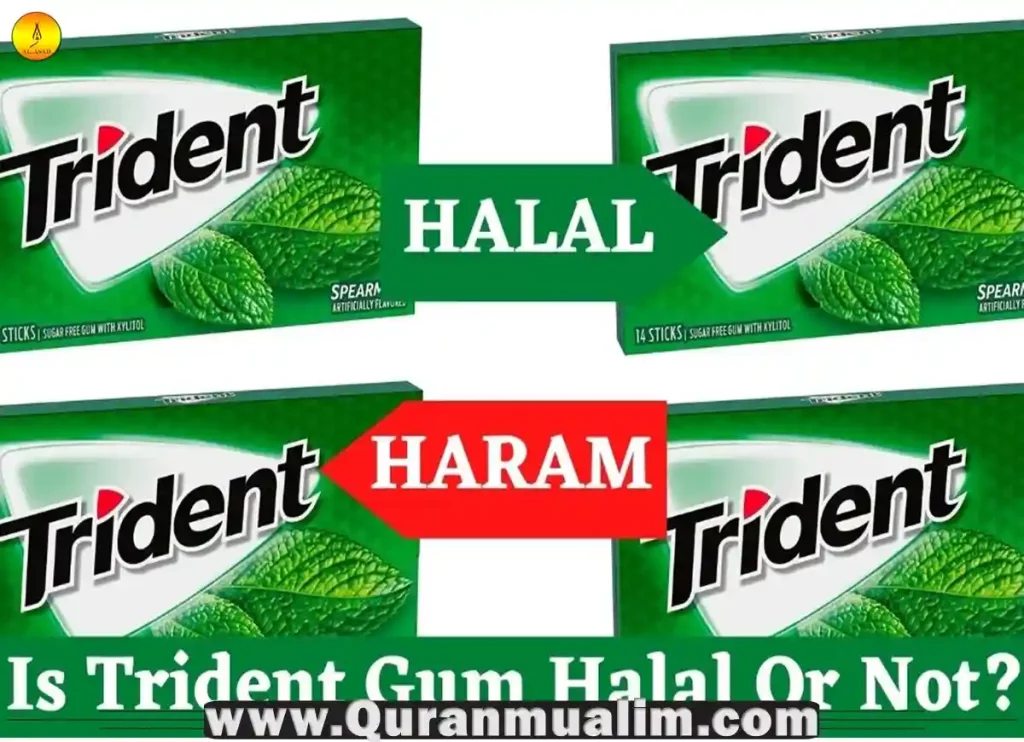 is trident gum halal, is trident gum halal in usa, is trident sour patch gum halal, is trident tropical twist gum halal, is trident bubble gum halal, orange trident gum, is trident gum halal, ingredients of trident gum, is extra gum halal