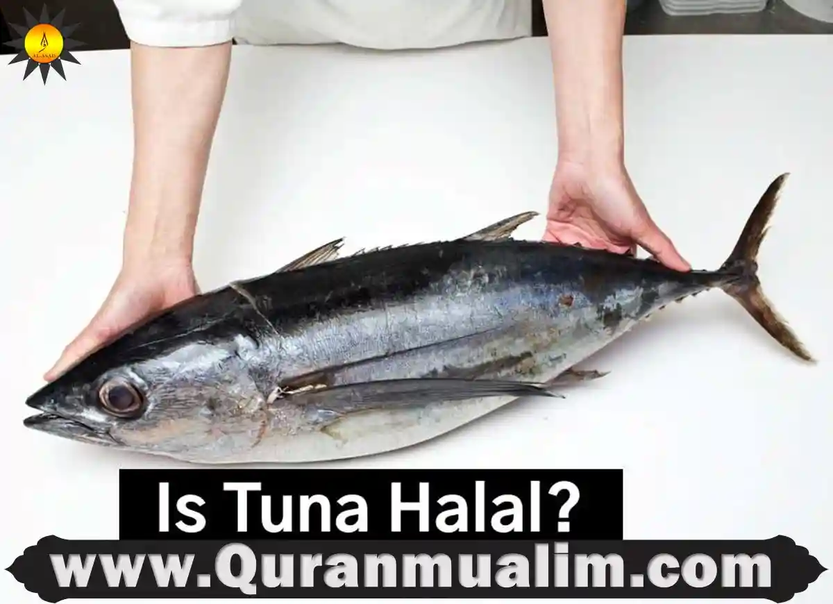 is subway tuna halal, is tuna halal, tuna is halal, is the tuna at subway halal, is tuna from subway halal, is canned tuna halal , is subway tuna sandwich halal ,is subway's tuna halal ,is the subway tuna halal