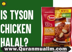 is tyson chicken halal, is tyson chicken nuggets halal, tyson chicken is halal, halal chicken nuggets, halal chicken tenders ,is tyson chicken halal, chicken expiry, are steroids haram, haram chicken