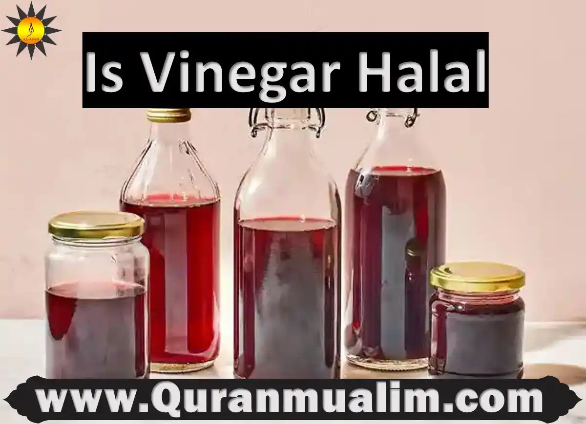is red wine vinegar halal, is wine vinegar halal, balsamic vinegar is halal, is balsamic vinegar halal, is white wine vinegar halal, is apple cider vinegar halal ,is red vinegar halal, apple cider vinegar is halal