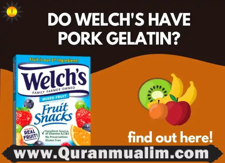 is welch's fruit snacks halal, is the gelatin in welch's fruit snacks halal, welch's fruit snacks is it halal, welch's fruit snacks is halal, is welch's fruit snacks halal, welch's fruit snacks halal, welch's fruit snacks halal or not