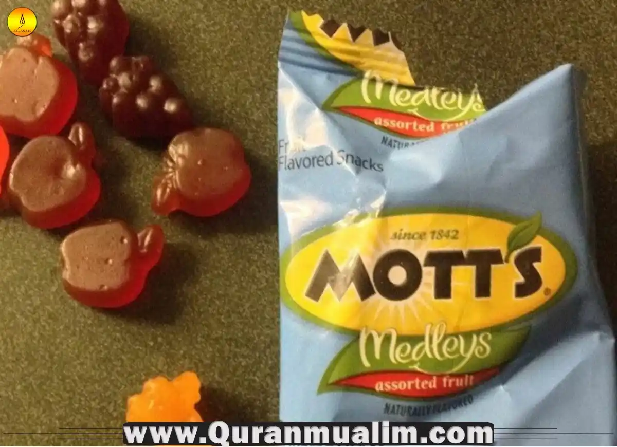 Is Welch's Fruit Snacks Halal? Facts 2023 Quran Mualim