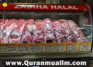 spice it up halal market & grill, spice it up halal market & grill photos, spice it up halal market & grill, spice it up halal market & grill photos ,shookran