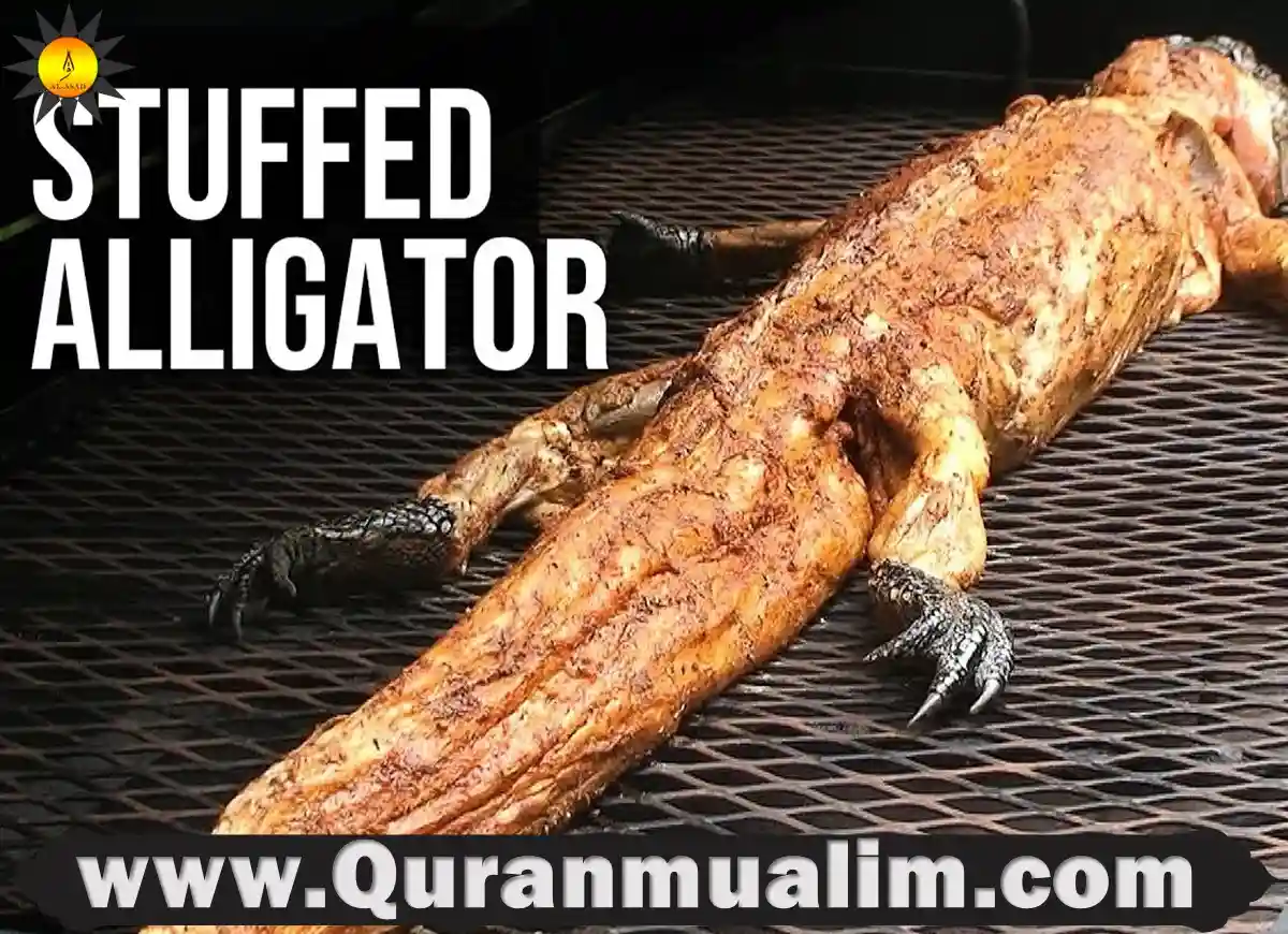 what does gator meat taste like, alligator meat, alligator food, what does gator taste like,gator bites, alligator meat near me, what does alligator meat taste like, can you eat alligator, what does aligator taste like