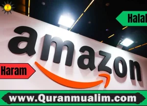 is amazon stock halal, is amazon a halal stock,is amazon halal stock, amazon com inc ticker ,m market halal, buy actions amazon, how to invest in apple or amazon, amazon stock investment